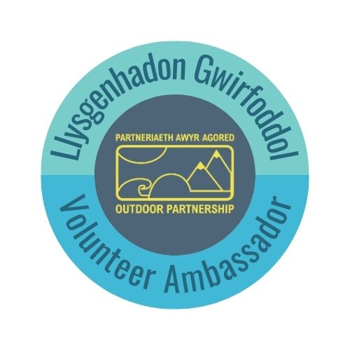 Volunteer Ambassadors